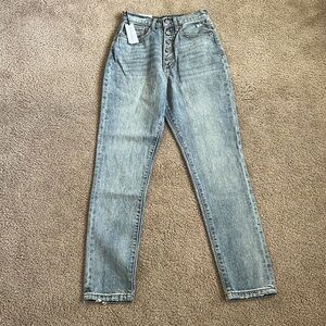 Joe’s Jeans x WeWoreWhat Danielle High Rise Straight Jeans NWT 24 Light Vintage